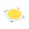 CXB2530-0000-000N0US435H